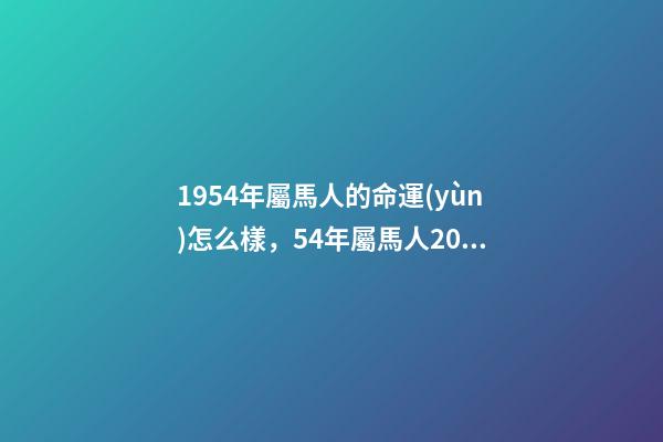 1954年屬馬人的命運(yùn)怎么樣，54年屬馬人2021年運(yùn)勢(shì)及運(yùn)程 1954年出生的人是什么，2009年出生的人是什么命的人-第1張-觀點(diǎn)-玄機(jī)派